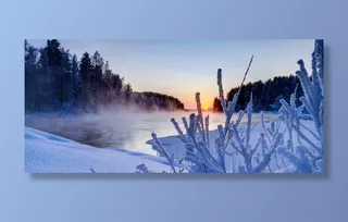 冬季雾凇唯美背景免抠