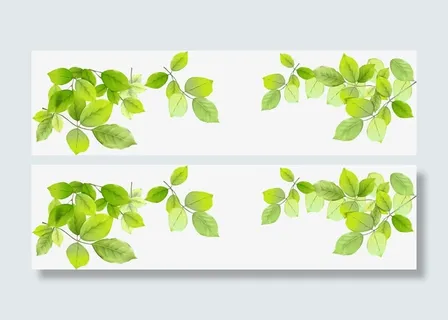 春天风景树叶绿叶装饰免抠