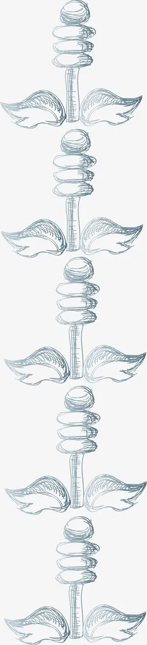 线条手绘分隔栏免抠