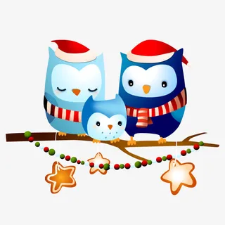站在树枝上的猫头鹰免抠