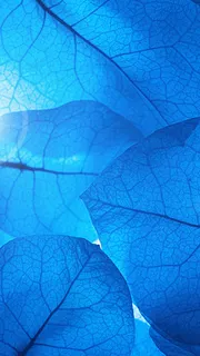 蓝色纹理H5背景高清