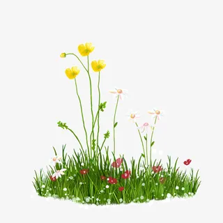 茉莉花  花 绿植 小草 黄花免抠