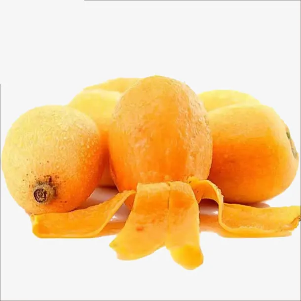 果实, 枇杷免抠
