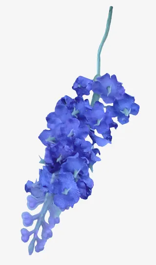 蓝色花枝免抠