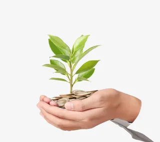 双手中的一堆金币绿高清免扣素材免抠