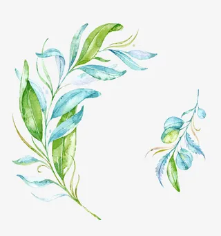 蓝绿色手绘水彩柳条枝免抠