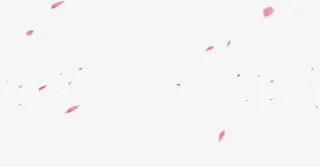 高清创意粉红色的花瓣免抠