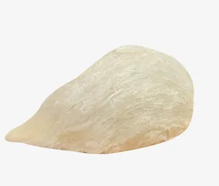 印尼进口白燕盏素材免抠