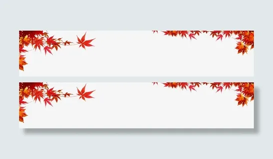 枫叶免抠 枫叶免抠