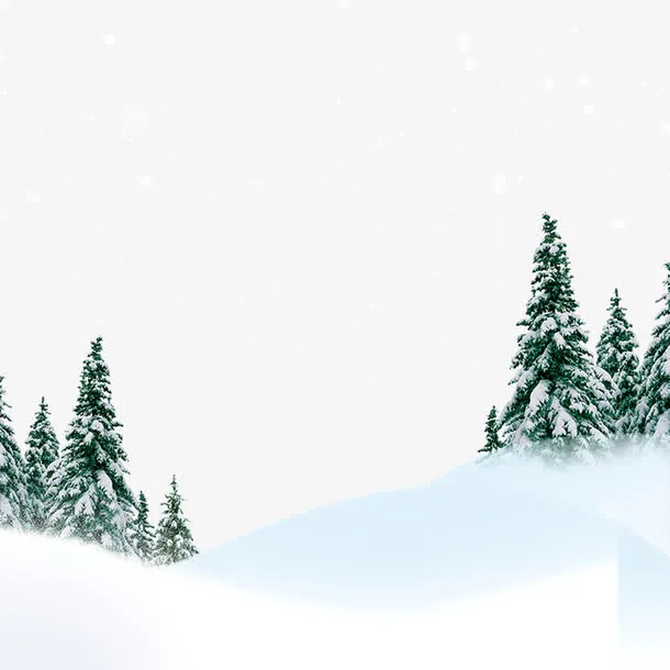 山坡上的雪松免抠