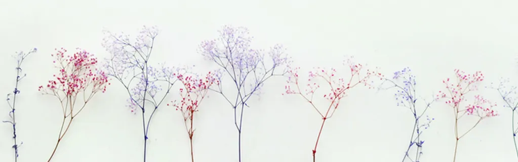 电商文艺树枝背景海报banner高清