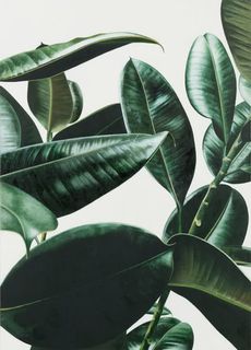 绿色超大树叶大屏免抠