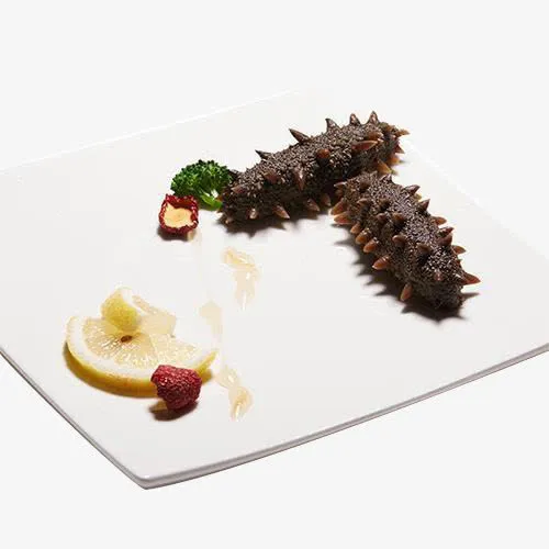 海参免扣图片免抠