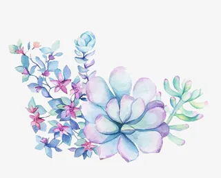 多肉植物展览手绘免抠