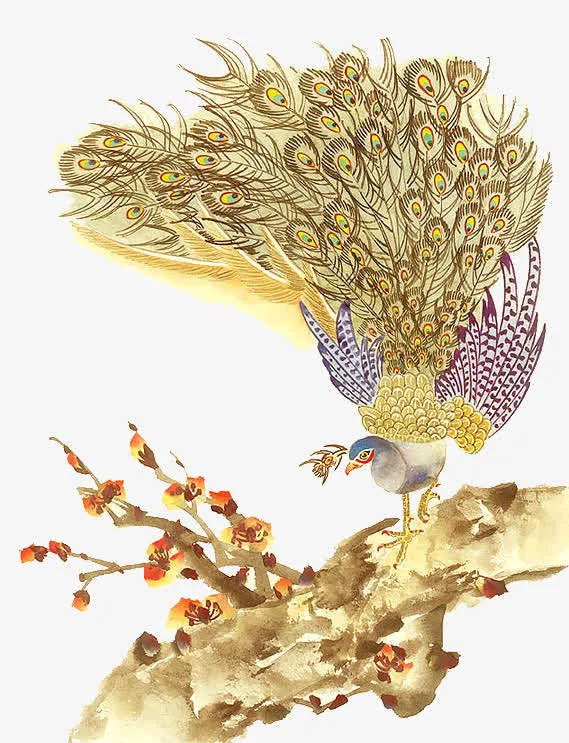 古风手绘孔雀素材免抠
