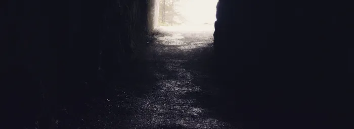 黑白黑暗童话路口森林背景高清