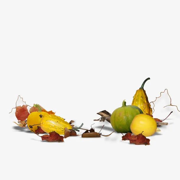 枯叶南瓜免抠