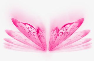炫彩靓丽的蝴蝶翅膀免抠
