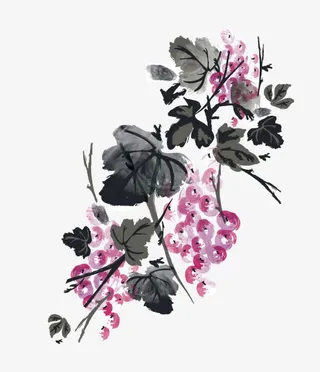 印花矢量图免抠