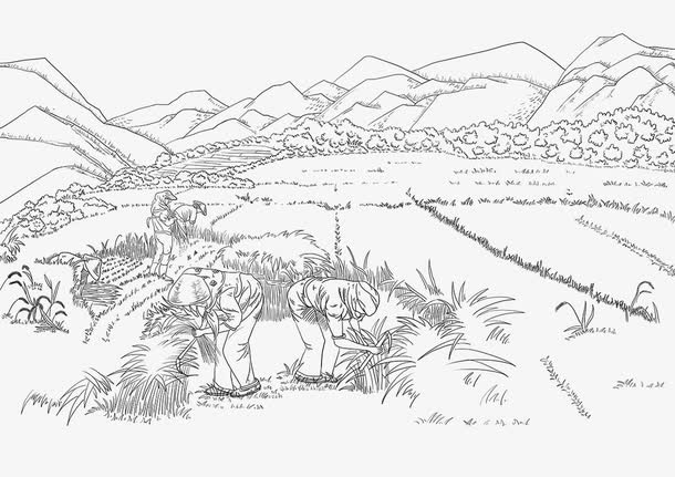 手绘白描插图收割麦子场景免抠