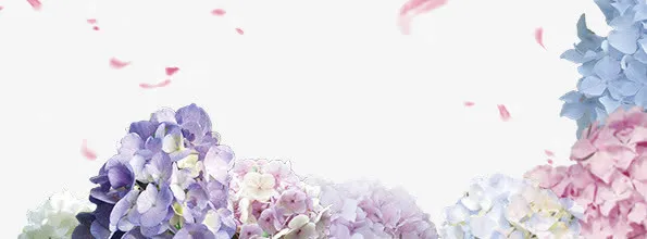花朵漂浮免抠