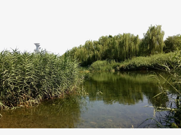 湖中倒影美景免抠