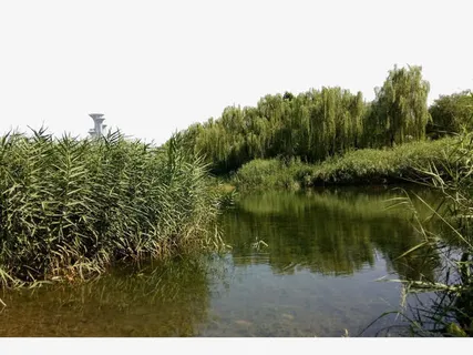 湖中倒影美景免抠