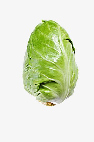 卷心菜免抠