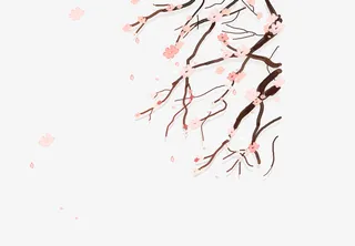 梅花花花花花免抠