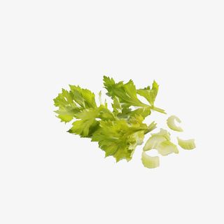 叶子芹菜叶子免抠