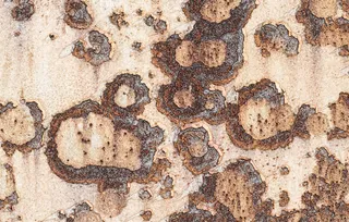 金属块状斑驳锈迹背景底纹