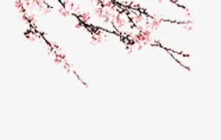 手绘粉色桃花免抠