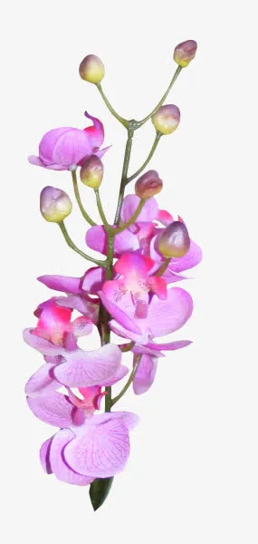 蓝色花朵花瓣红色花苞免抠