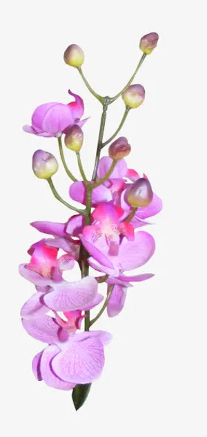 蓝色花朵花瓣红色花苞免抠