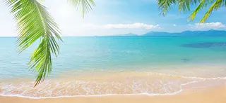 夏季背景模板下载高清