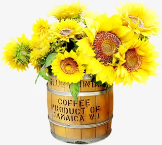 春季黄色郊外小花摆件免抠