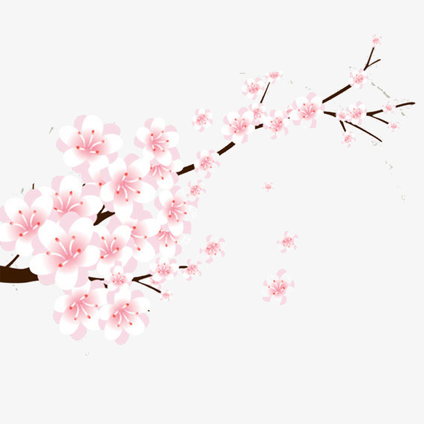 梅花免抠