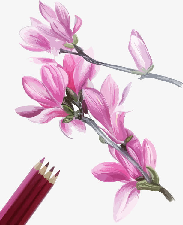 紫藤花手绘免抠