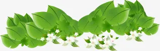 清新春天树叶花免抠