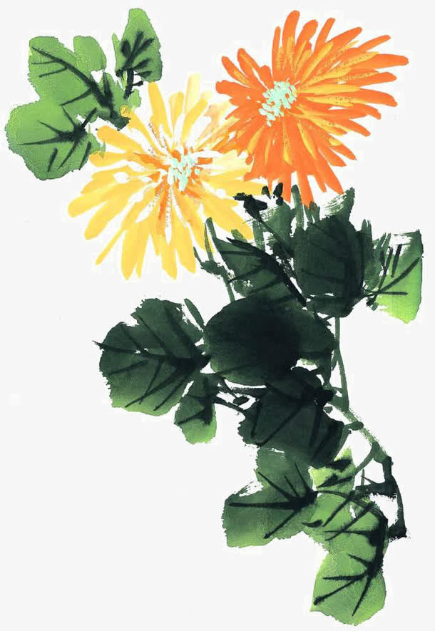 写意菊花免抠