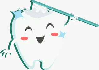 用牙刷清洁的牙齿素材免抠