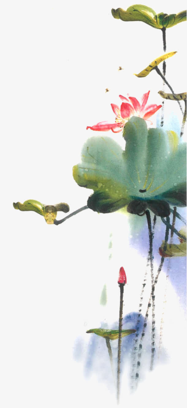 水墨荷花插图图片免抠