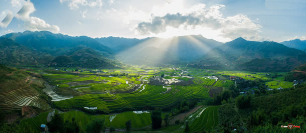 自然风景绿色田地免抠