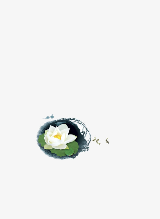 荷花免抠