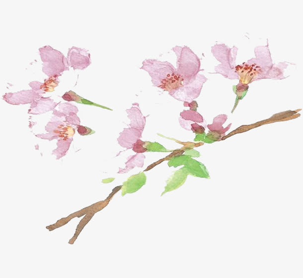 杏花花瓣免抠