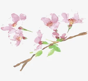 杏花花瓣免抠