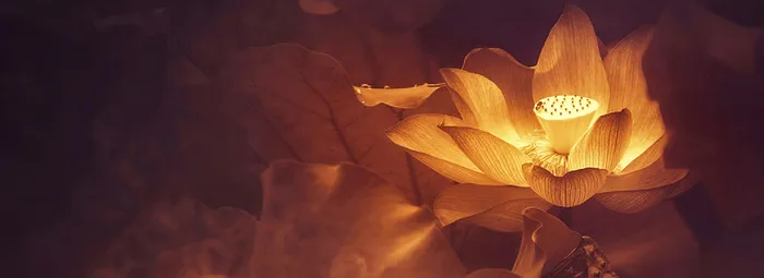 荷花梦幻褐色海报banner背景高清