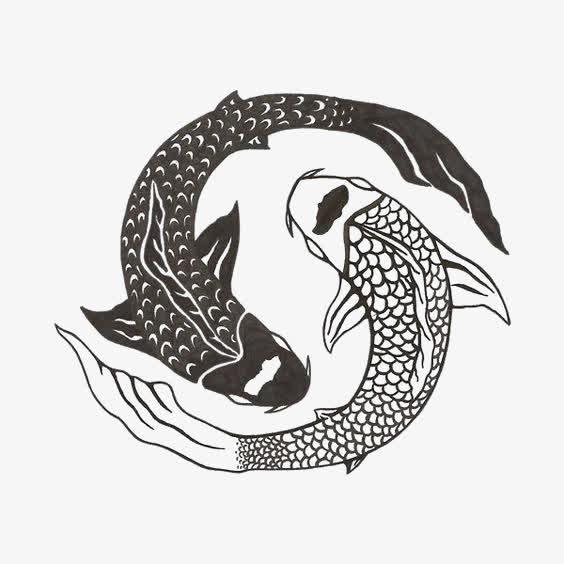 锦鲤免抠