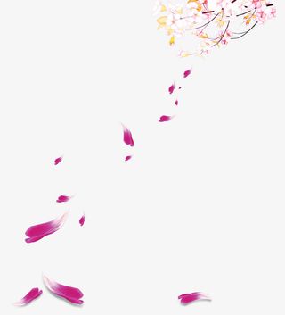 飘落的粉色花瓣免抠