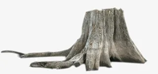 树根免抠